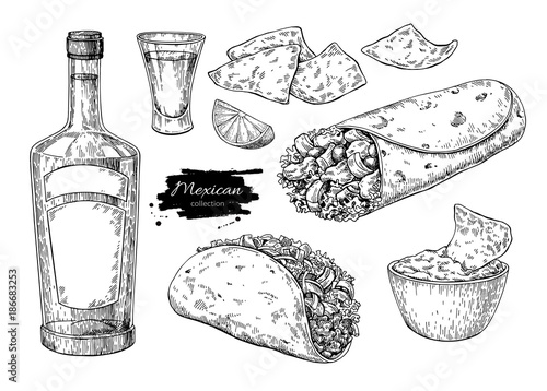 Mexican cuisines drawing. Traditional food and drink vector illu