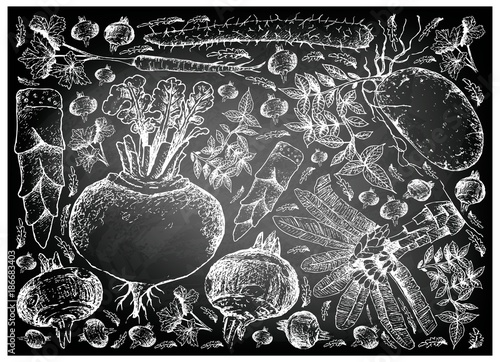 Hand Drawn of Root and Tuberous Vegetables on Chalkboard photo