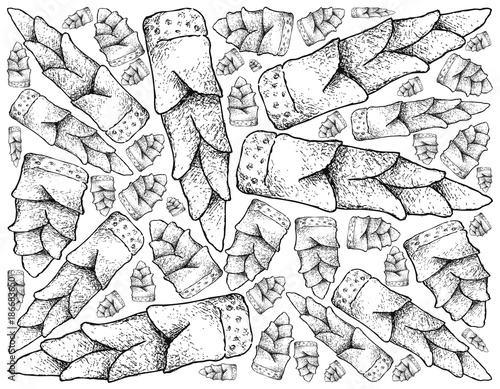 Fresh Bamboo Shoot on A White Background