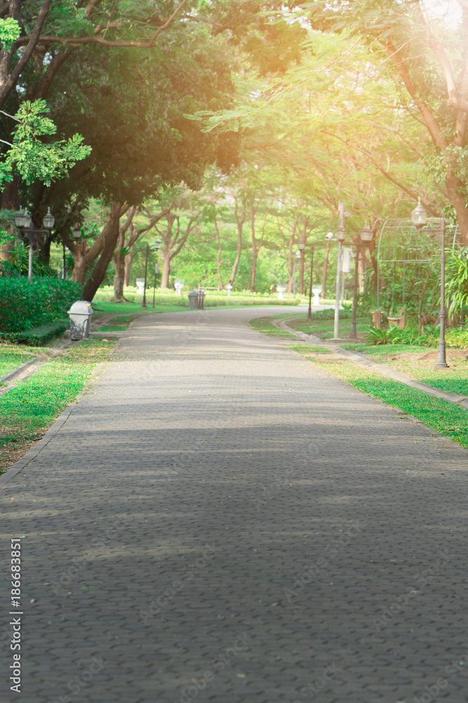 Public park with walkway is beautiful nature with sunset. Public park with walkway is beautiful nature with sunset.