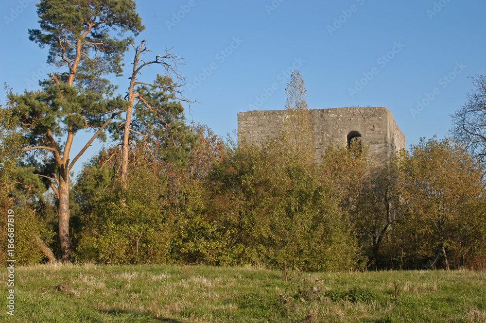 Ruine Helfenberg bei Ilsfeld Ruine Helfenberg bei Ilsfeld