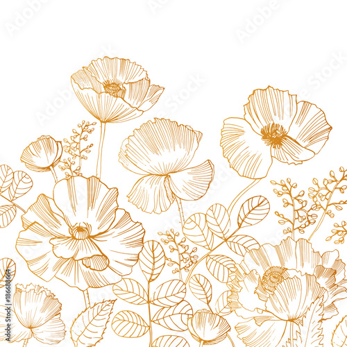 Beautiful square backdrop with blooming poppy flowers and leaves at bottom edge hand drawn with golden contour lines on white background. Gorgeous floral decoration. Botanical vector illustration.