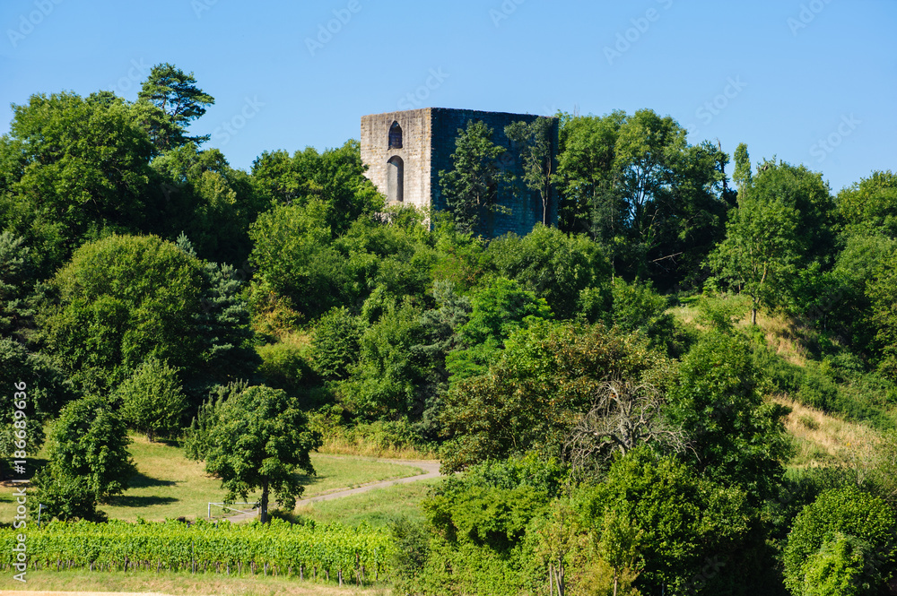 Ruine Helfenberg bei Ilsfeld