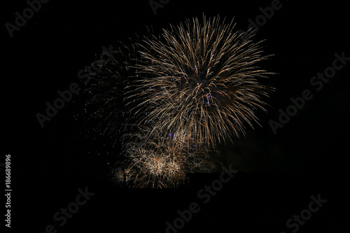 The Firework on the black Sky in the Detail