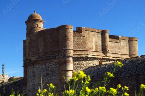 Fort von Salses, auch Festung von Salses genannt, steht im Ort Salses-le-Château in der südfranzösischen Region Okzitanien photo