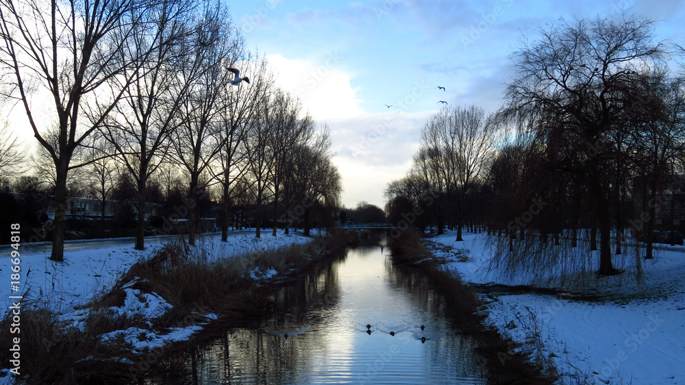 Beautiful Snow Covered Winter Landscape with Canal, Trees and Birds Canal Beautiful Snow Covered Winter Landscape with Canal, Trees and Birds Canal