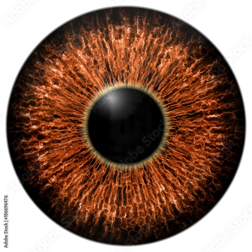 Sharp colourful eye texture