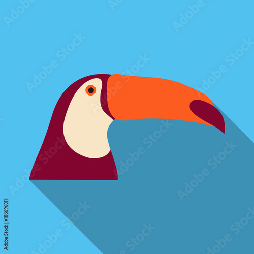 brazilian toucan bird nature