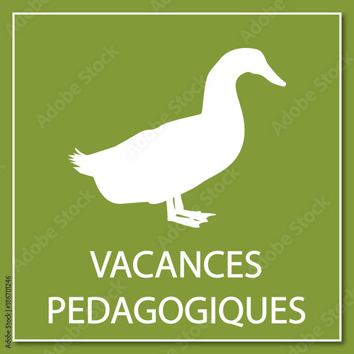 Logo vacances pédagogiques.