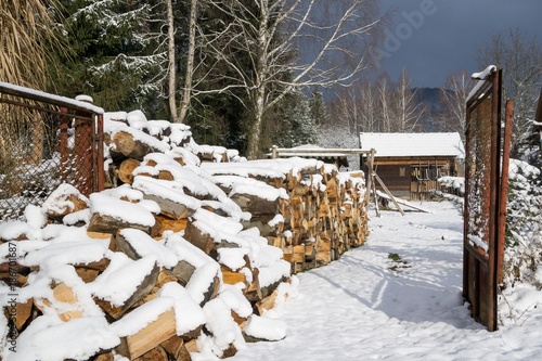 Wallpaper Mural Cut wood under the snow. Slovakia Torontodigital.ca