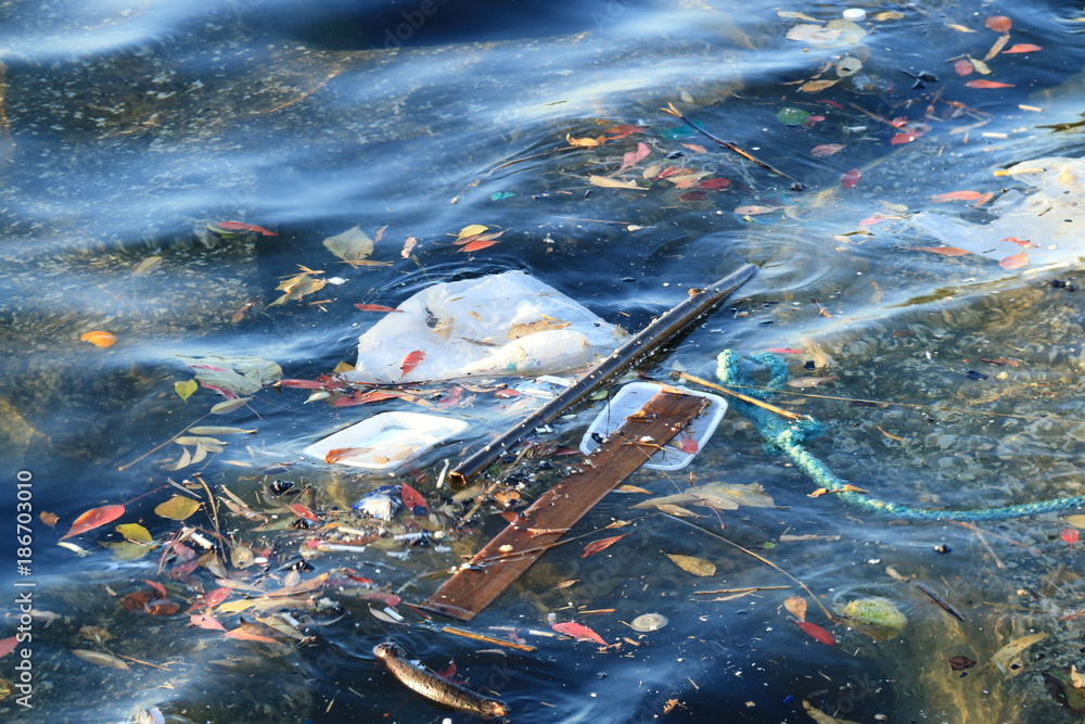 海の浮遊物