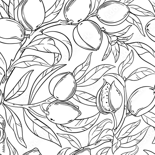 almond seamless pattern