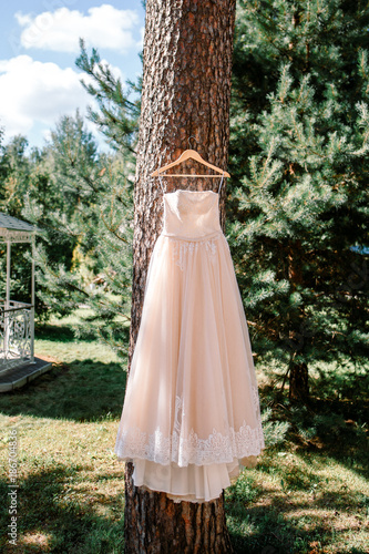 Beautiful wedding dress hanging on the tree. A wedding in the summer. © Valery