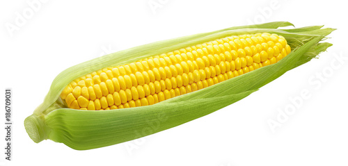 Fresh ear of corn isolated on white background