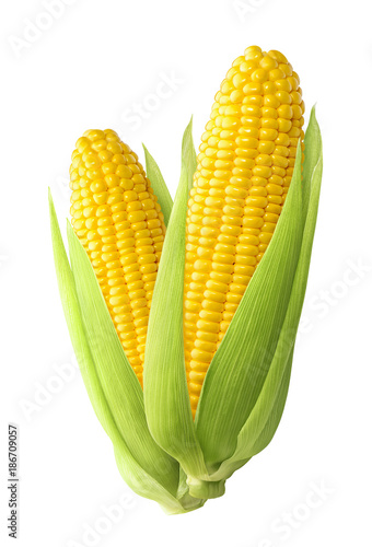 Stampa su tela Sweet corn ears isolated on white background