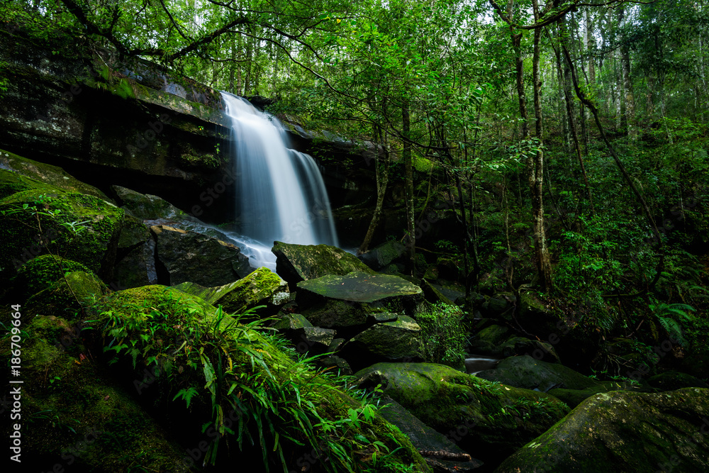 Obraz premium Waterfall in the tropical rainforest landscape