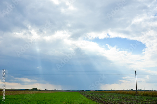 field with dramatic clouds and sky before storm and electric poles in distant 