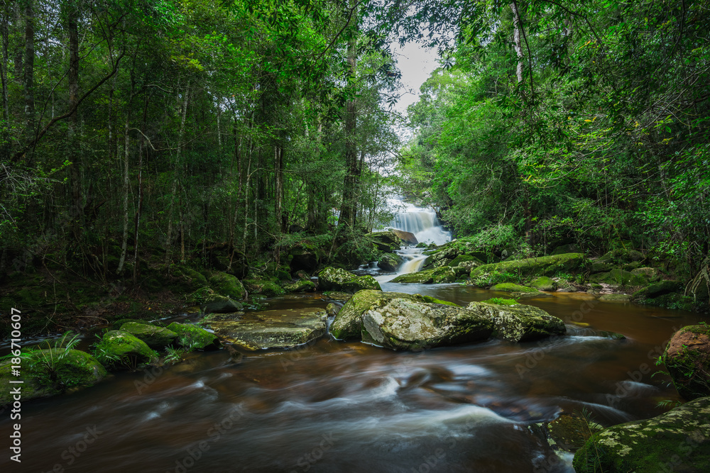 Waterfall with green moss in the tropical rainforest landscape Waterfall with green moss in the tropical rainforest landscape