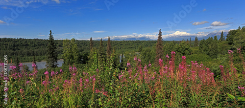 Denali photo