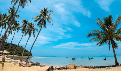 Palm and tropical beach Phi phi island Thailand