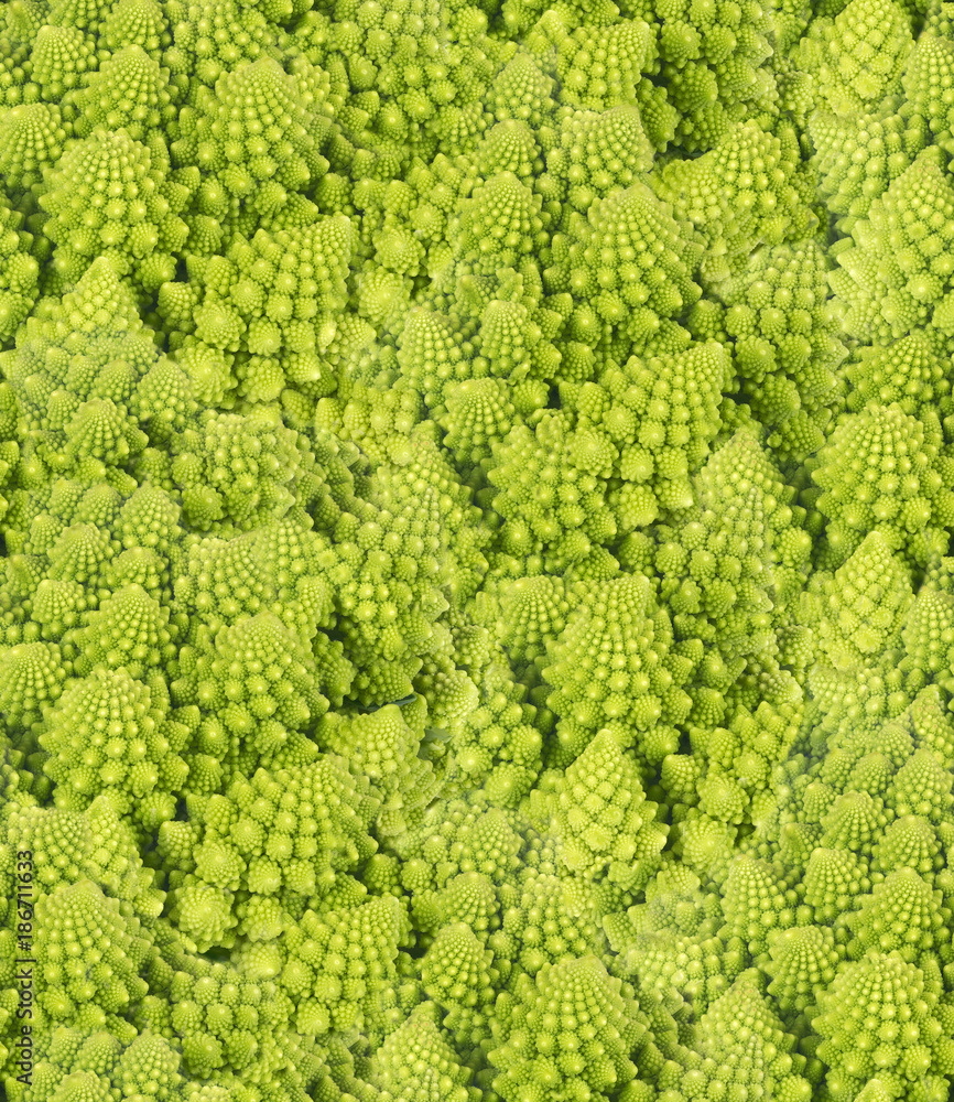 seamless green abstract background from Romanesco broccoli seamless green abstract background from Romanesco broccoli