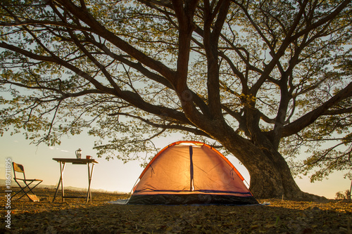 orange camping tent under the tree at sunrise or sunset background