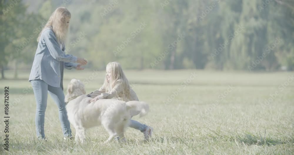 Labrador Dog in the Park, Blonde Mother & Daughter Playing with Pet Labrador Dog in the Park, Blonde Mother & Daughter Playing with Pet