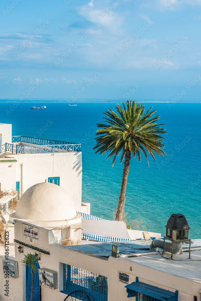 Sidi Bou Said near Tunis in Tunisia.