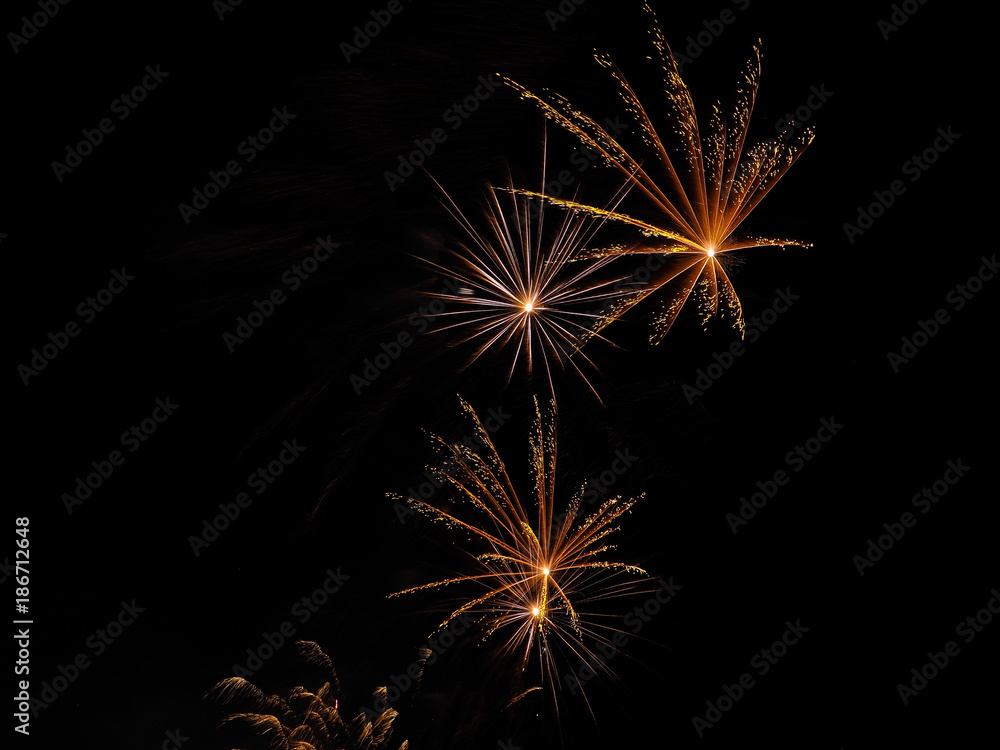 Fototapeta premium Firework V