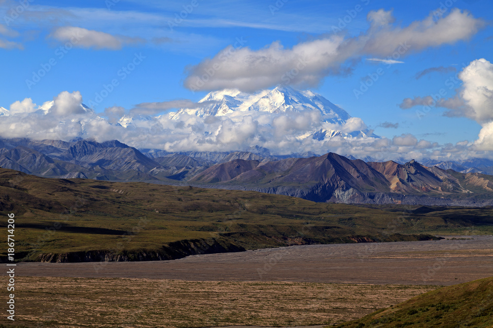 Fototapeta premium Denali Nationalpark