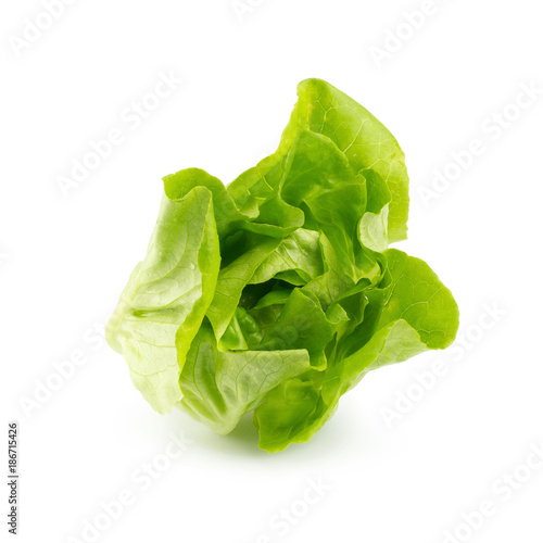 Fresh butterhead salad isolated on white background