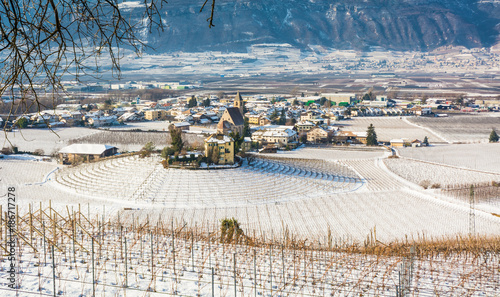 winter vineyards landscape, covered with snow. Trentino Alto Adige, Italy. Main economic factors are viticulture along the South Tyrolean Wine Route from Terlan to Salorno, fruit growing and tourism.
