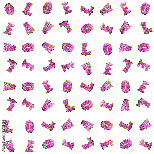 Pattern on a white background from flowers of a pink orchid with drops of dew and leaves in the form of letters love