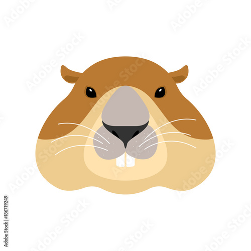 Groundhog face. Woodchuck head. Marmot. Vector illustration