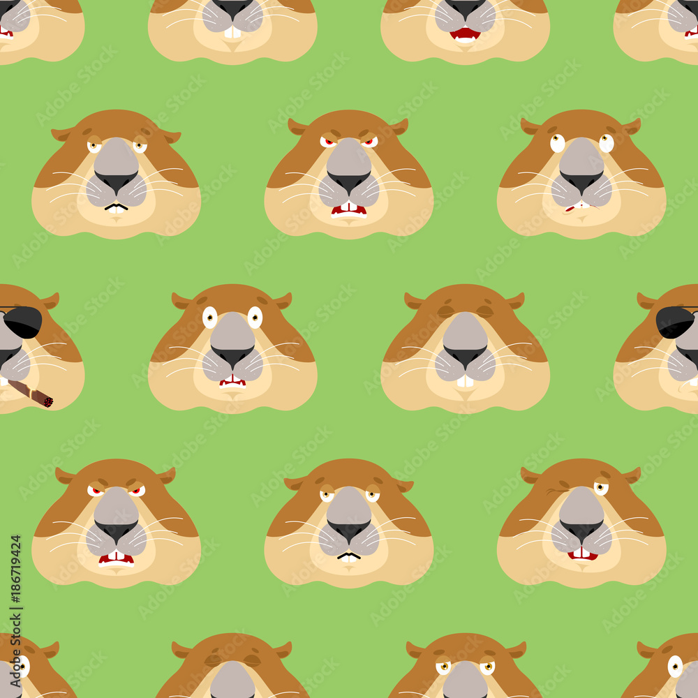 Groundhog head pattern. Woodchuck background. Ornament face Marmot. Groundhog day Vector illustration Groundhog head pattern. Woodchuck background. Ornament face Marmot. Groundhog day Vector illustration