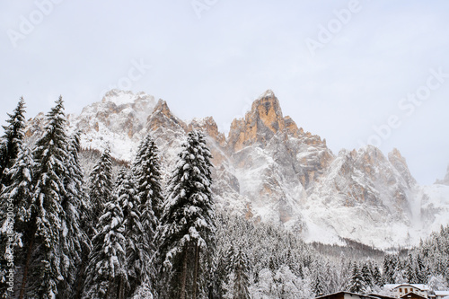 Cant del Gal - Val Canali, nel parco naturale di Paneveggio. sullo sfondo il Sass Maor (gruppo delle Pale di San Martino) photo