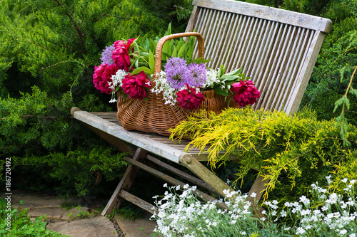 Konstfotografi Wicker basket with red peonies on a wooden bench in a spring garden