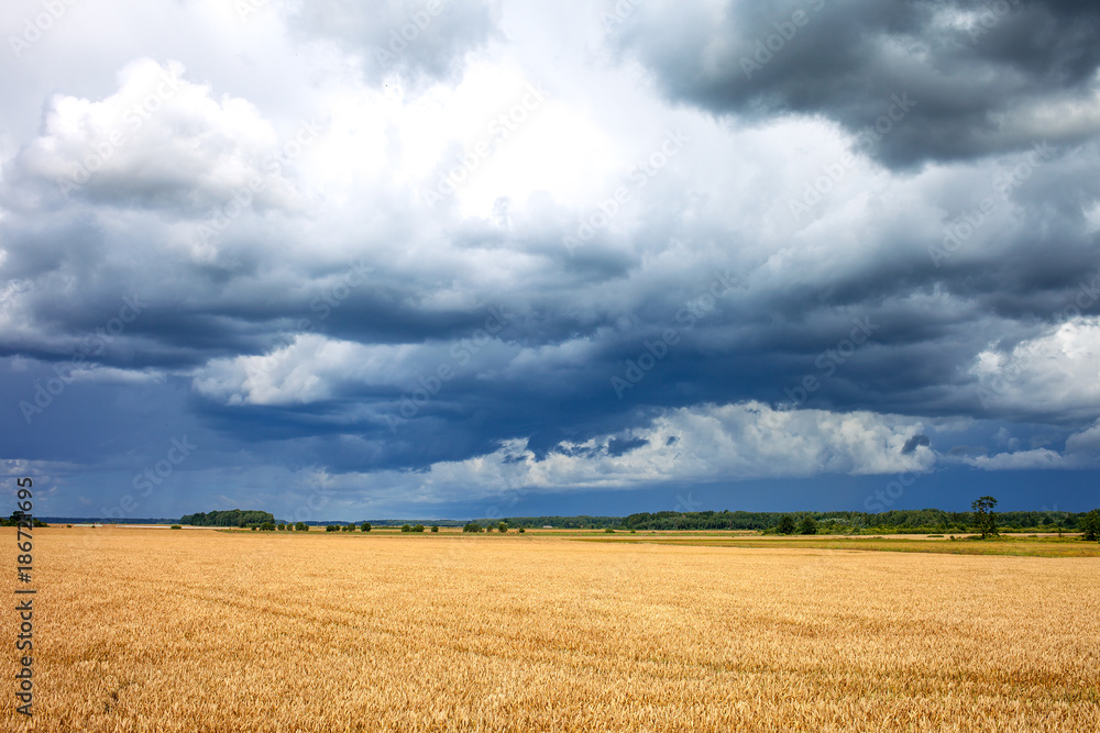 Cloudy summer afternoon in latvian countryside. Cloudy summer afternoon in latvian countryside.