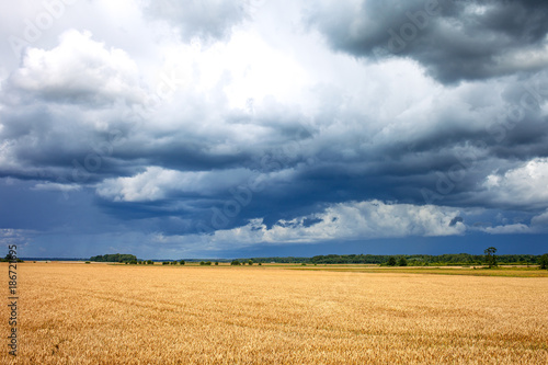 Cloudy summer afternoon in latvian countryside.