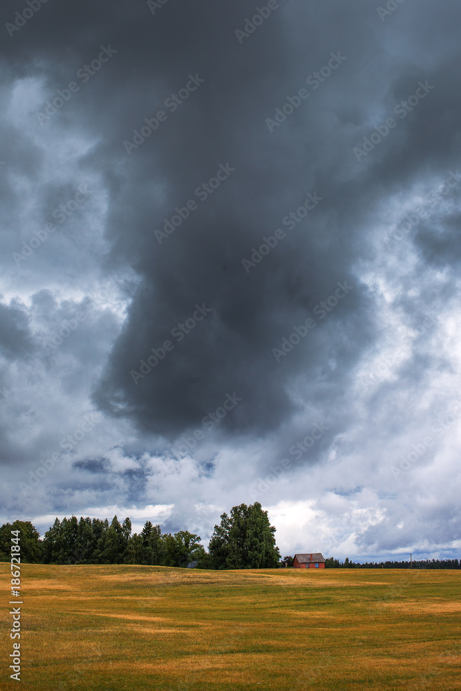 Cloudy summer afternoon in latvian countryside.