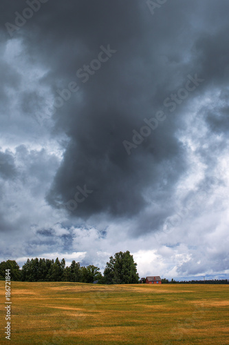 Cloudy summer afternoon in latvian countryside. © Janis Smits
