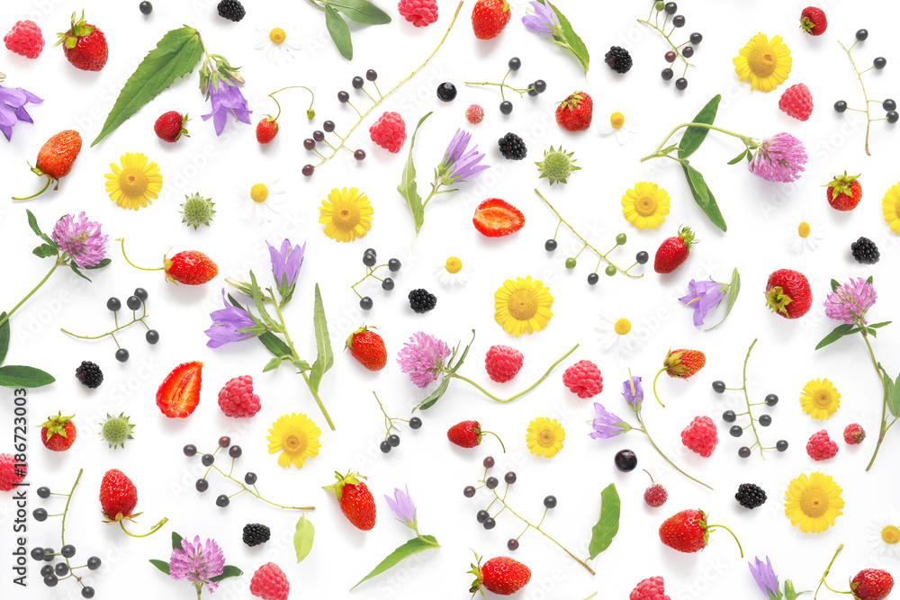 Composition pattern from plants, wild flowers and berries, isolated on white background, flat lay, top view. The concept of summer, spring, Mother's Day, March 8. Composition pattern from plants, wild flowers and berries, isolated on white background, flat lay, top view. The concept of summer, spring, Mother's Day, March 8.