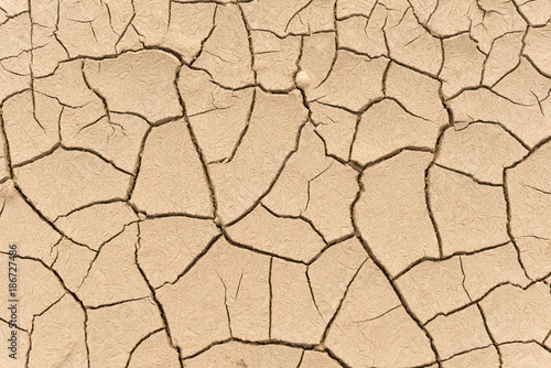 Dry land. Cracked ground background.