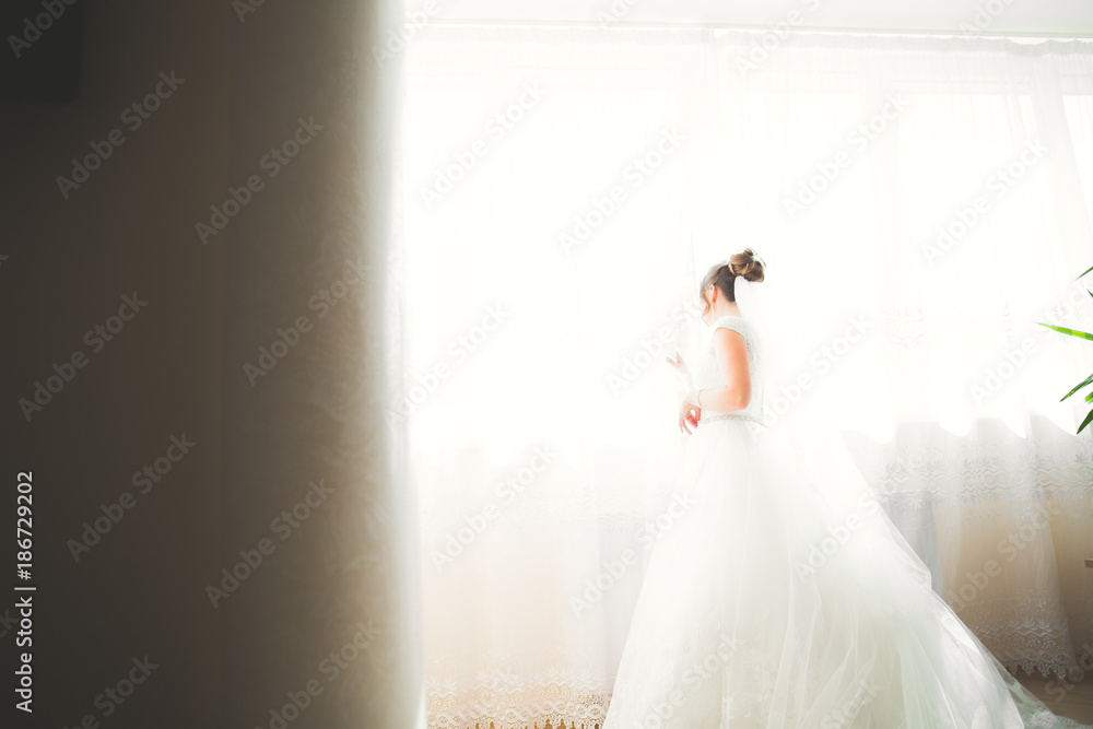 Fototapeta premium Beautiful bride wearing fashion wedding dress with feathers with luxury delight make-up and hairstyle, studio indoor photo shoot
