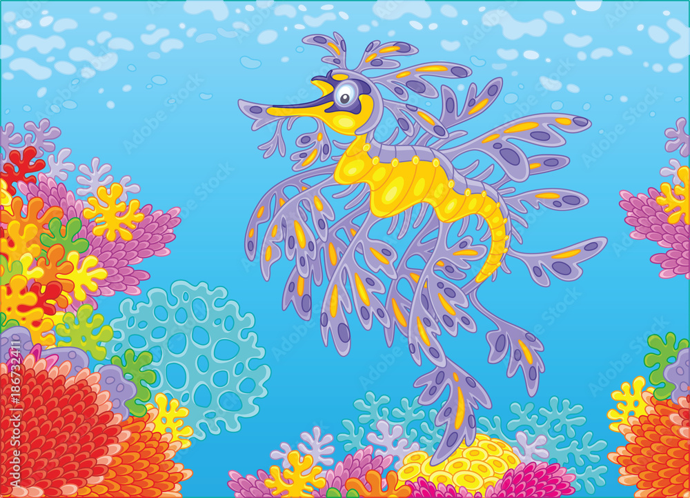 A leafy sea dragon swimming in blue water over a colorful coral reef in a tropical sea, a vector illustration in cartoon style