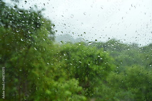 lovely rain