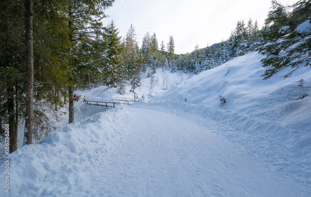 Majestic winter landscape with snow-covered trees. Majestic winter landscape with snow-covered trees.