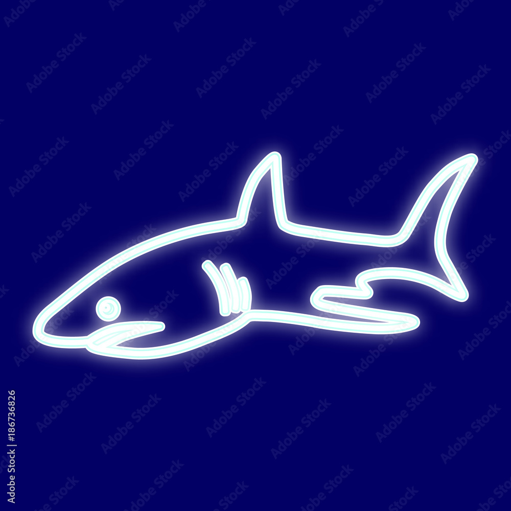 The image of a shark.