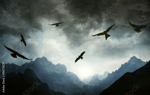 Fotografie, Obraz Gothic landscape mountain range with hawks