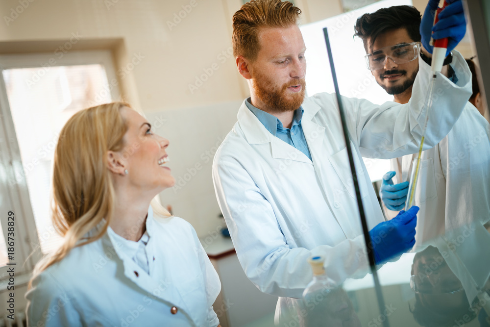 Fototapeta premium Group of scientists working at laboratory